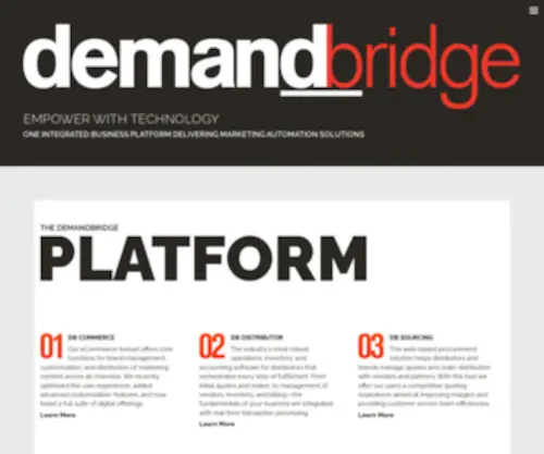 Demandbridge.com(Demandbridge) Screenshot