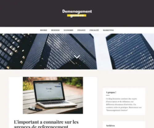 Demenagement-Geneve.com(Blog Business) Screenshot