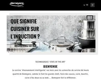 Demeyere-Online.com(ZWILLING Group) Screenshot
