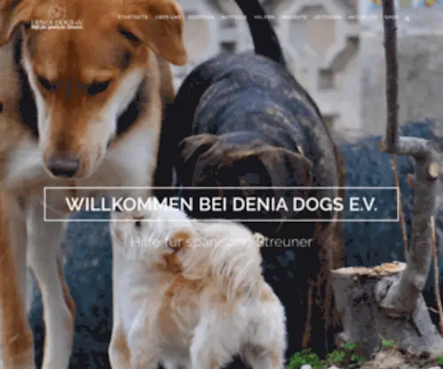 Denia-Dogs.de(Denia Dogs e.V) Screenshot
