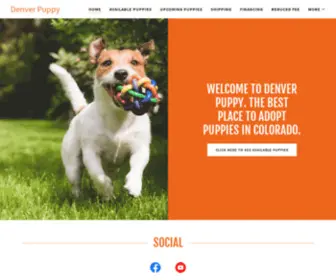 Denverpuppy.com(Puppies in Denver) Screenshot