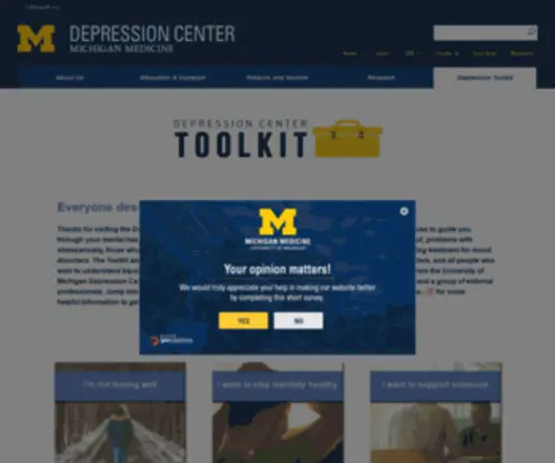 Depressiontoolkit.org(Depressiontoolkit) Screenshot