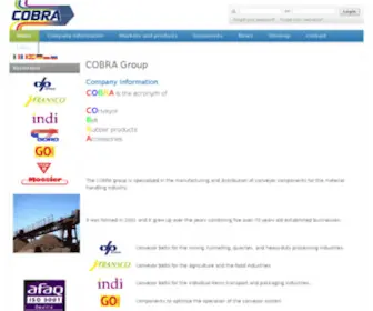 Depreux-Belt.com(COBRA Group) Screenshot