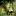 Der-Bienenfreund.de Favicon