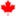 Derekprince.ca Logo