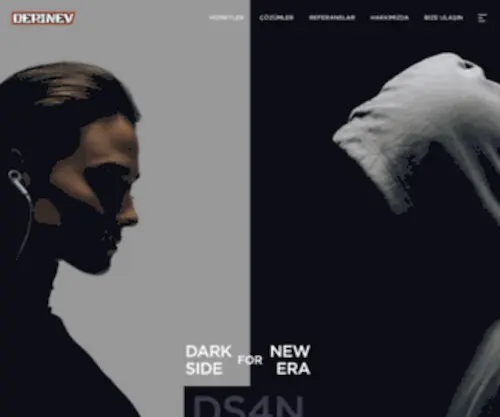 Derinev.com(Our expertise is depth) Screenshot