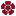 Dermagskinsolution.com Favicon