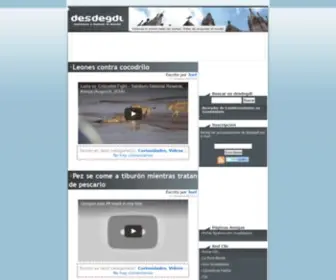 Desdegdl.com(Brand new video gone live of the Adorable African Bushbabies. CHECK IT OUT) Screenshot