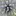 Desert-Tropicals.com Favicon