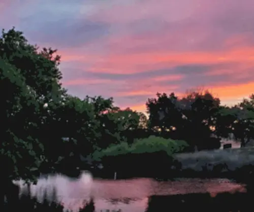 Desertoasisnaturepark.org(In the heart of Rio Rancho) Screenshot