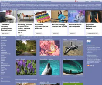 Desktopwallpapers.ru(Обои) Screenshot
