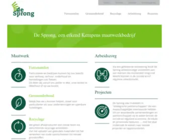 DesprongVZW.be(De Sprong vzw) Screenshot
