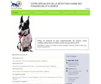 Detectbug.ch(Votre) Screenshot