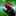 Detectivebd.com Favicon