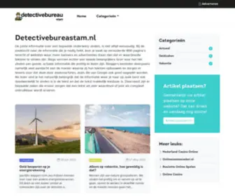 Detectivebureaustam.nl(Over SEO) Screenshot