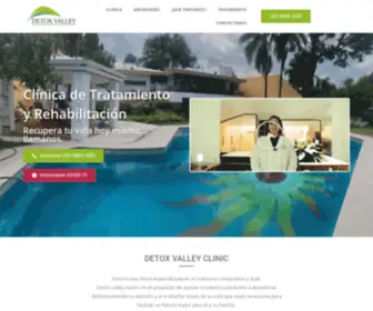 Detoxvalleyclinic.com(My WordPress Blog) Screenshot