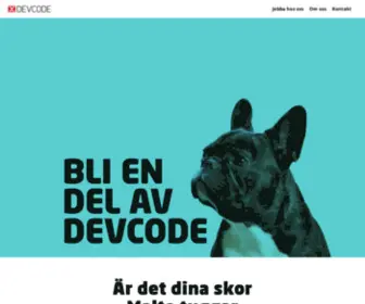 DevCode.se(Våra uppdragsgivare blir hjältar) Screenshot