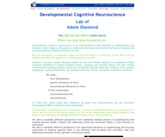 DevCogneuro.com(Developmental Cognitive Neuroscience Lab) Screenshot