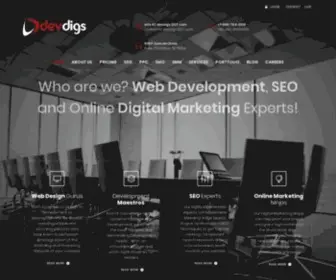 Devdigs.com(SEO Experts) Screenshot