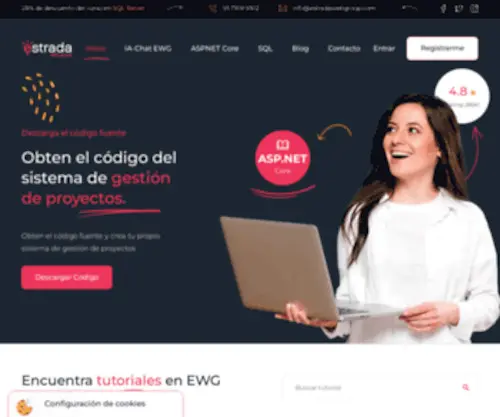 Developerji.com(Estrada Web Group) Screenshot