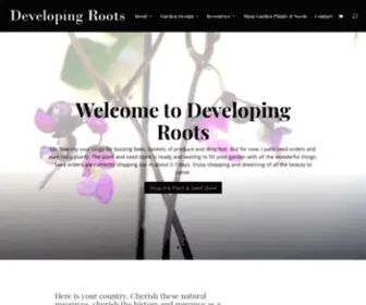 Developingrootstudio.com(Developing Roots Studio) Screenshot