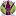 Devinewinejelly.com Favicon