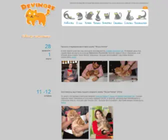 Devinor.com.ua(Cattery of British Shorthair tabby cats) Screenshot