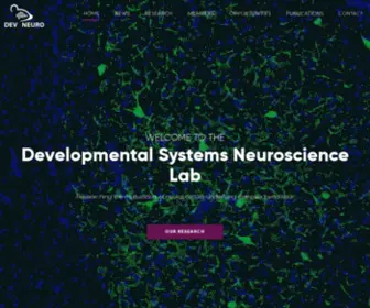 Devsneurolab.com(DevSneuro Lab) Screenshot