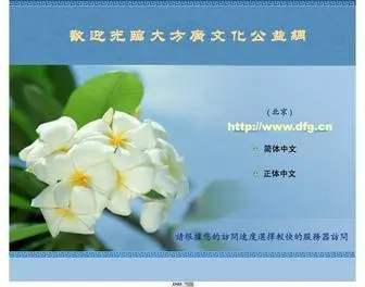 DFG.cn(本网) Screenshot
