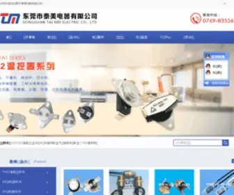 DG-TM.com(东莞市泰美电器有限公司) Screenshot