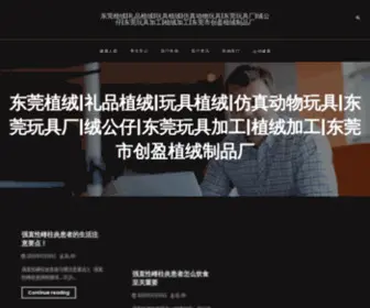 DGCYZR.com(东莞玩具厂) Screenshot