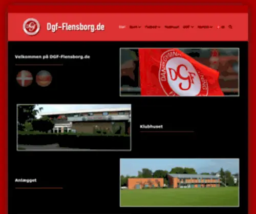DGF-Flensborg.de(DGF Flensborg) Screenshot