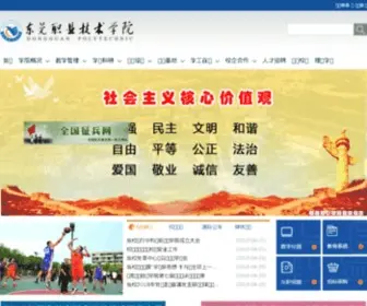 DGPT.edu.cn(东莞职业技术学院) Screenshot