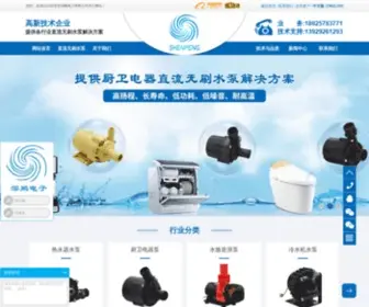 DGshenpeng.com(微型直流无刷水泵生产厂家) Screenshot