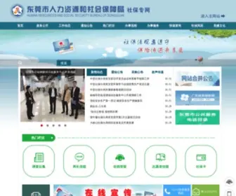 Dgsi.gov.cn(东莞市社会保障局) Screenshot
