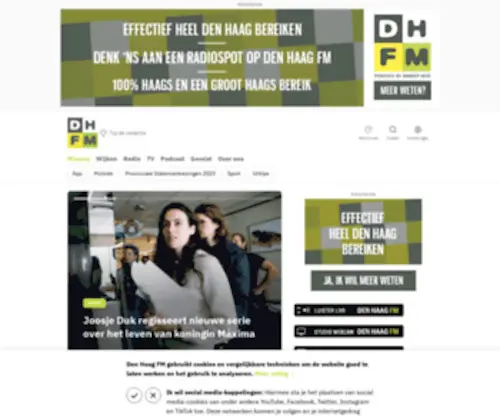 DHFM.nl(DHFM) Screenshot