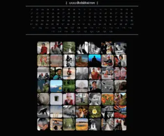 Dholabhai.com(Dholabhai) Screenshot
