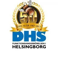 DHshelsingborg.se Favicon