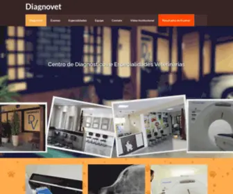 Diagnovet.com.br(Laudos online consultar (12) 3941) Screenshot