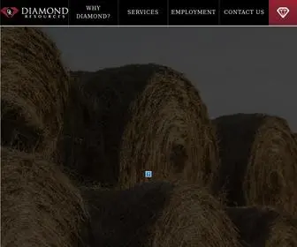 Diamondnd.com(Diamond Resources) Screenshot