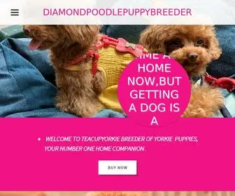 Diamondpoodlepuppybreeder.com(Diamondpoodlepuppybreeder) Screenshot