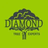 Diamondtreeexperts.com Logo