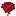 Diana-Rose.com Favicon