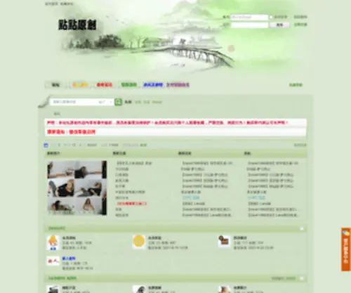DianDian56504100.com(论坛) Screenshot