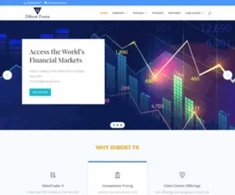 Dibortfx.com(Scale your Business) Screenshot