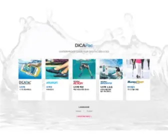 Dicapac.com(Specialty Company in Digital Equipment's Waterproof Case) Screenshot