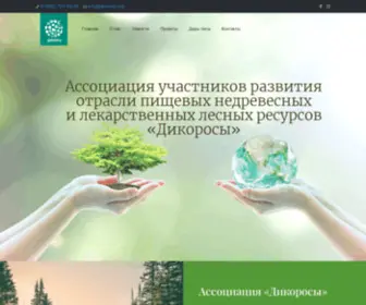 Dicorosy.org(Главная) Screenshot