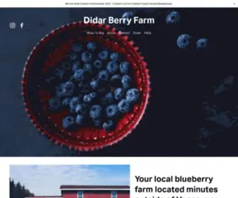 Didarberryfarms.com(Visit our Blueberry U) Screenshot