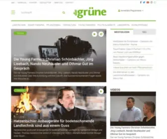 Diegruene.ch(Die grüne) Screenshot