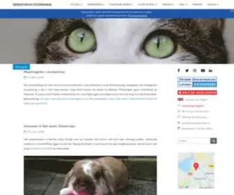 Dierenasielleiden.nl(Streek-Dierentehuis Leiden Stevenshage) Screenshot